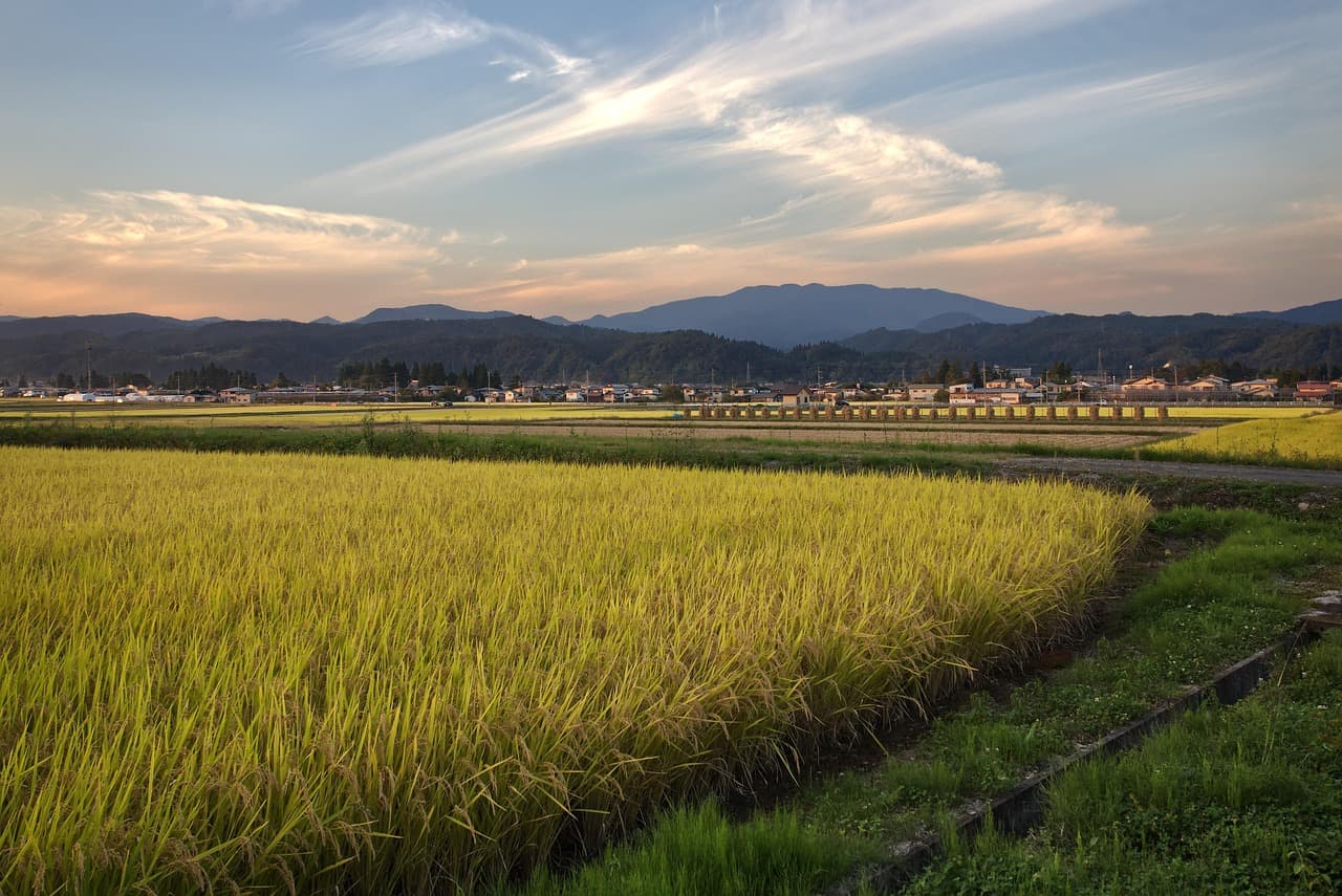 夕暮れの田園風景のイメージ画像